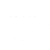 AAE_LOGO